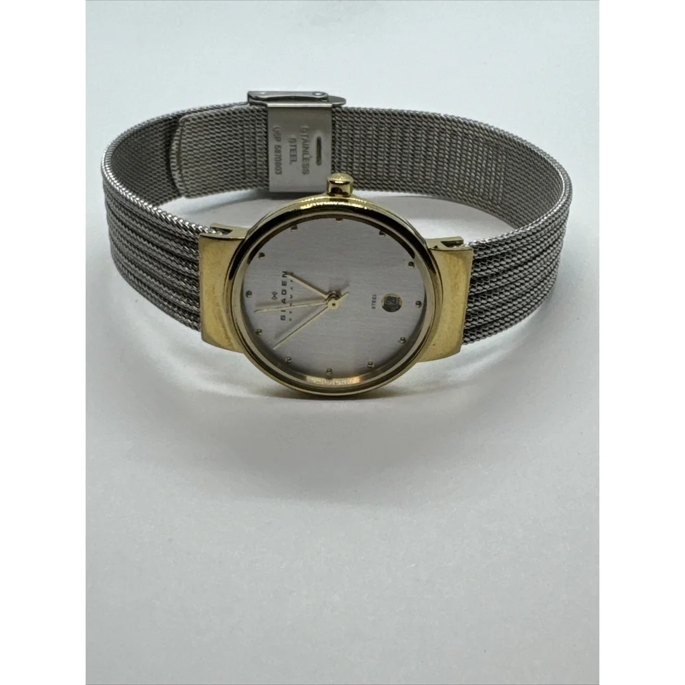 Skagen 355SGSS Women Silver Stainless Steel Mesh Analog Dial Wrist Watch JNA886